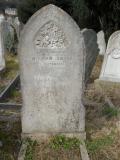 image of grave number 295502